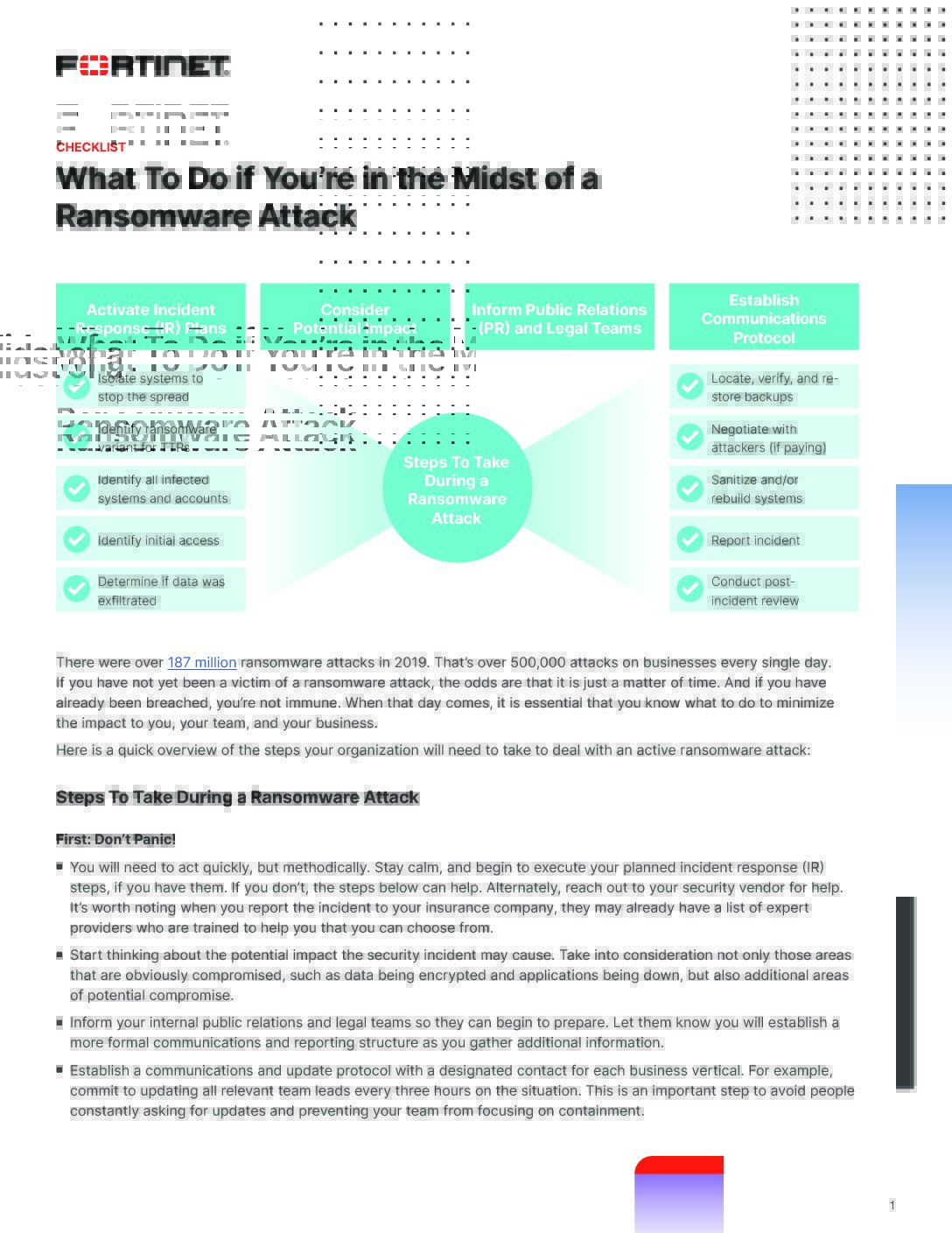 What To Do in a Ransomware Attack